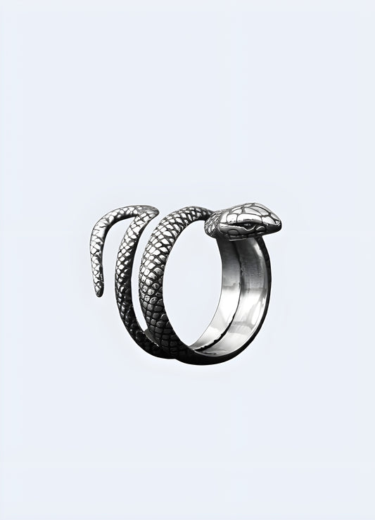 A brushed silver snake ring with a clean and contemporary design, perfect for everyday wear Canada.